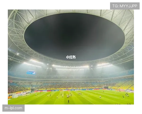 专业足球场再添新成员：成都凤凰山足球场扩容工程通过验收